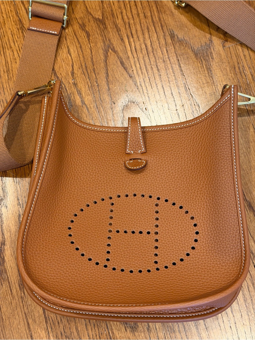 Evelyne Crossbody Bag in Gold/Tan - Picture 2 of 8